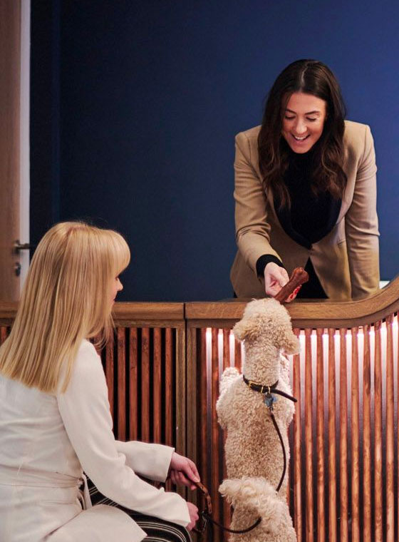 Amenities - The Well House