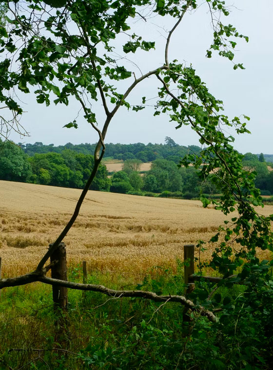 Neighbourhood - The Well House